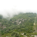 100906 I (10)